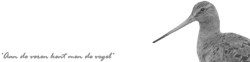Christian Braam - 'Even Vogelen'