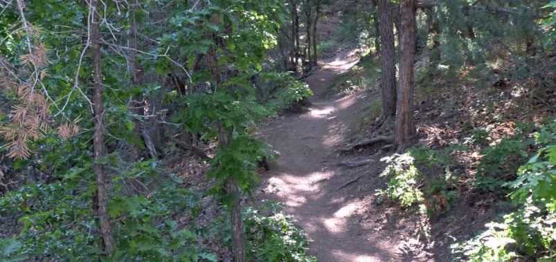 Inside the wilderness area