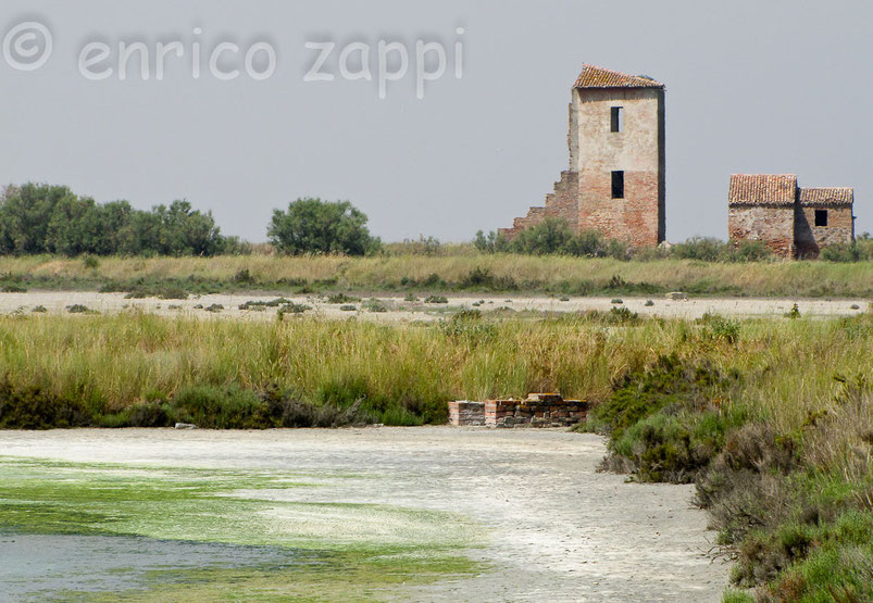 Salina di Comacchio