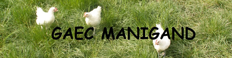 Site de volailles-de-bresse-manigand !