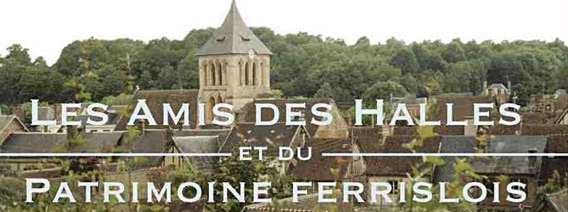 Site de amisdeshalles !