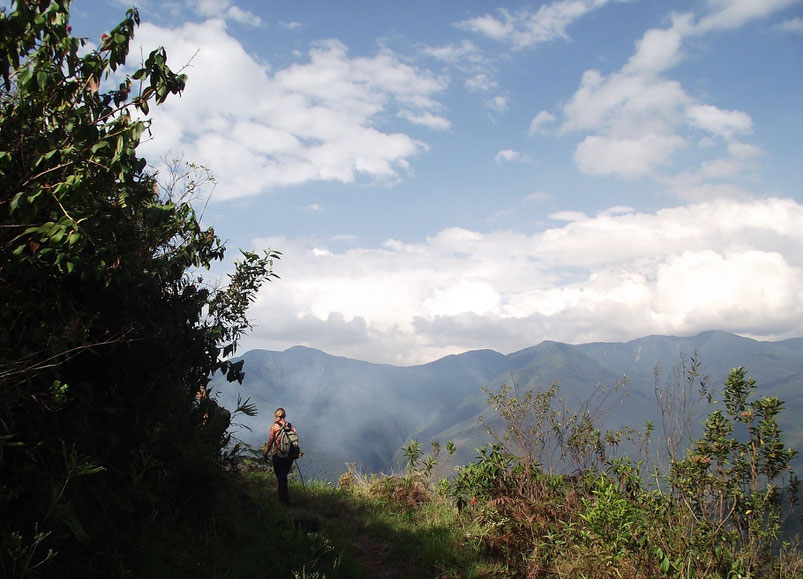 Mountains in Coiroco, Yungas, Bolivia