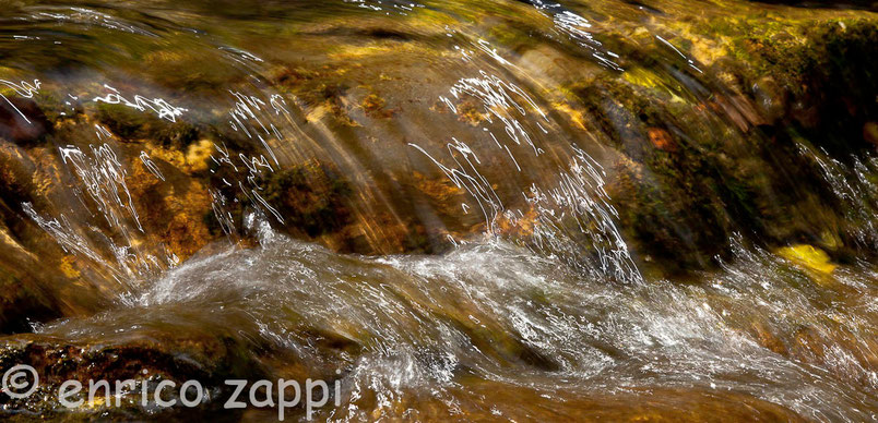 Scorre veloce la limpida acqua del torrente accarezzando il letto che l'accompagna e riflettendo giocosamente i raggi di luce che illuminano l'atmosfera tutt'intorno.