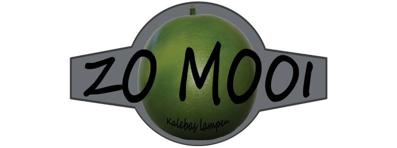 De website van zomooi!