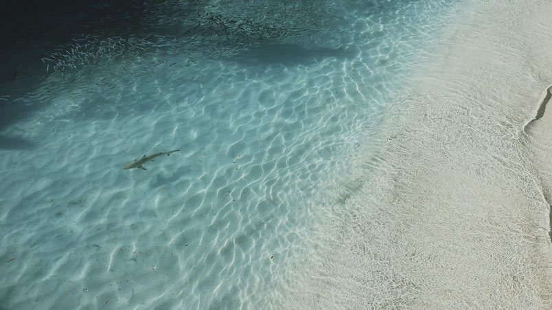 Clic en la imagen para más información (ejemplo)