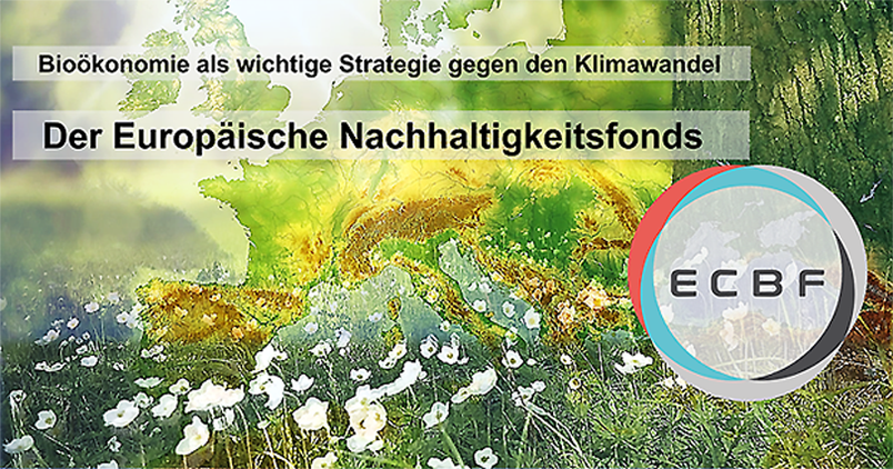 Ein Nachhaltigkeitsfonds für Startups aus Europa (Bild: RheinZeiger) 