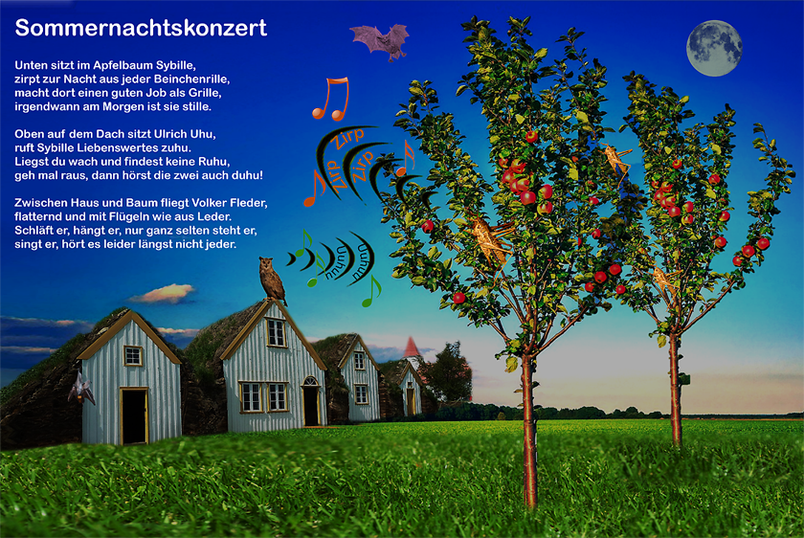 Sommernachtskonzert