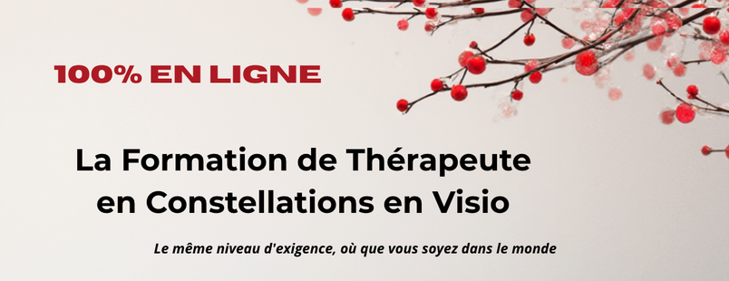 Formation en constellations familiales  et systémique totem formations