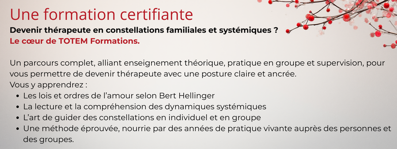 formationn de therapeute en constellation familiale systémique
