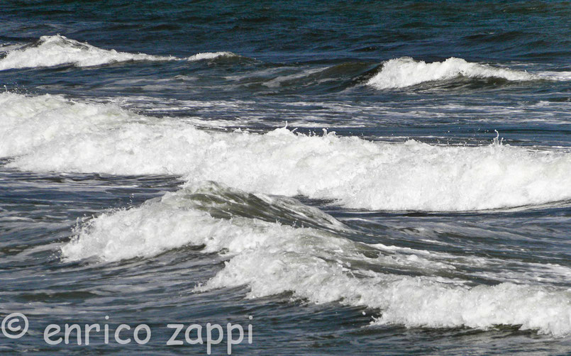 Mare