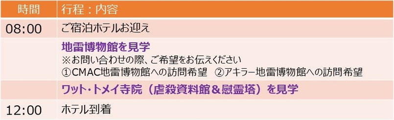 地雷博物館＆キリングフィールド（ワットトメイ）訪問「アキラー地雷博物館」「CMAC地雷博物館」