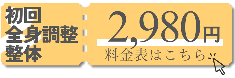 初回限定2,980円　料金表はこちら