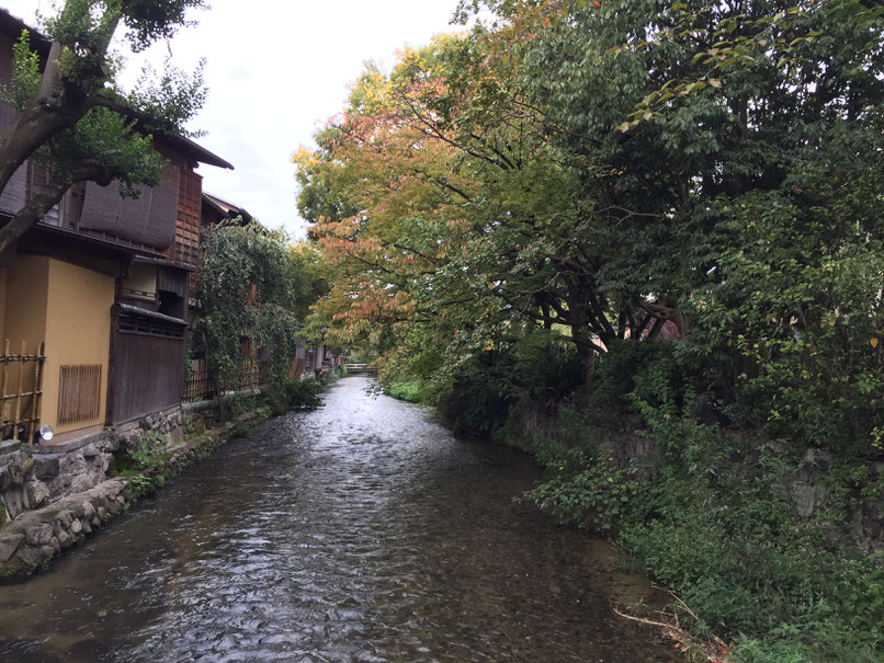 Kyoto - 7 Day Itinerary For Active Families with Small Kids - Shinbashi-Dori Walk
