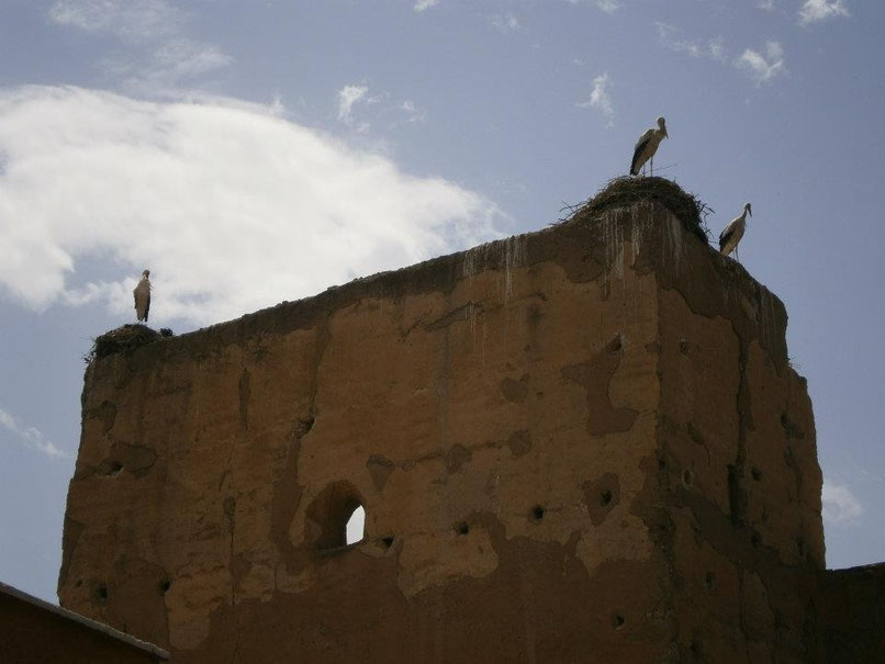 Marrakesh, Morocco, Africa