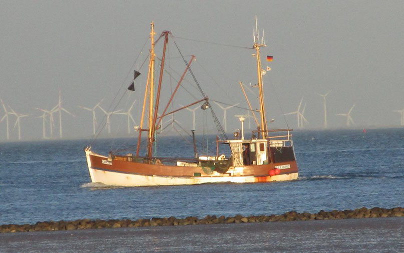 Krabbenkutter in Cuxhaven 