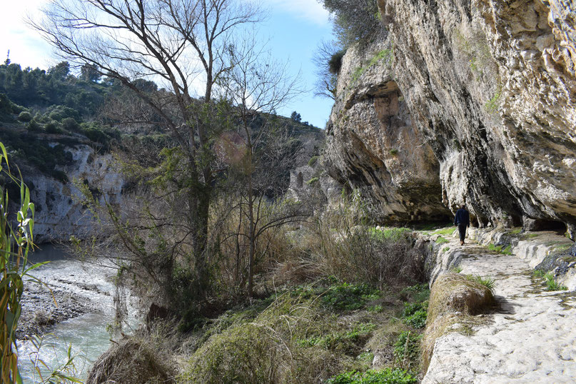 Minerve