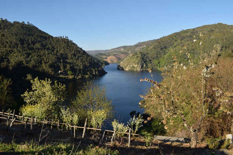 Chouzan, Galicia