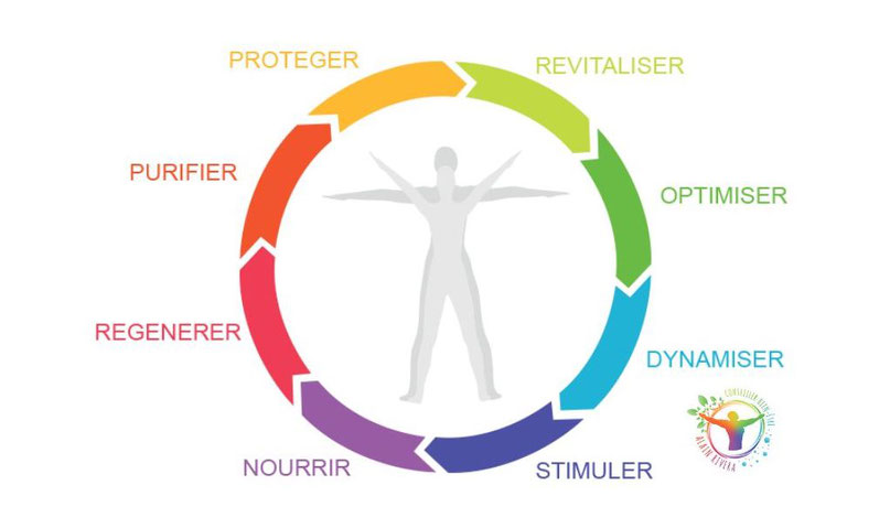 cercle synergie proteger revitaliser purifier optimiser regenerer dynamyser nourrir stimuler