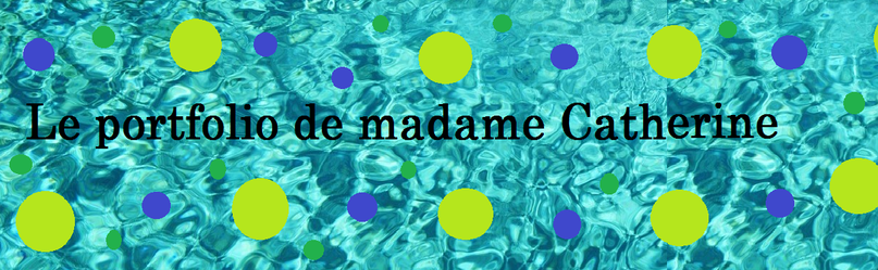 Les Ressources Disponibles Sur Le Bureau Virtuel De La Csdl Site De Catherineduff