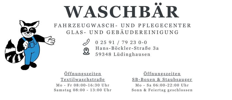 Waschbär in Lüdinghausen