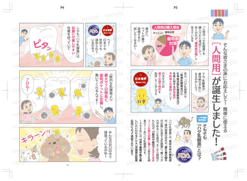 人間用ハタ乳酸菌のマンガパンフレットのP3とP4