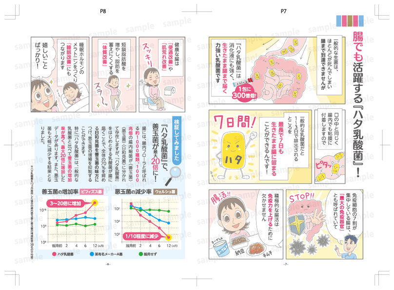 人間用ハタ乳酸菌のマンガパンフレットのP7とP8