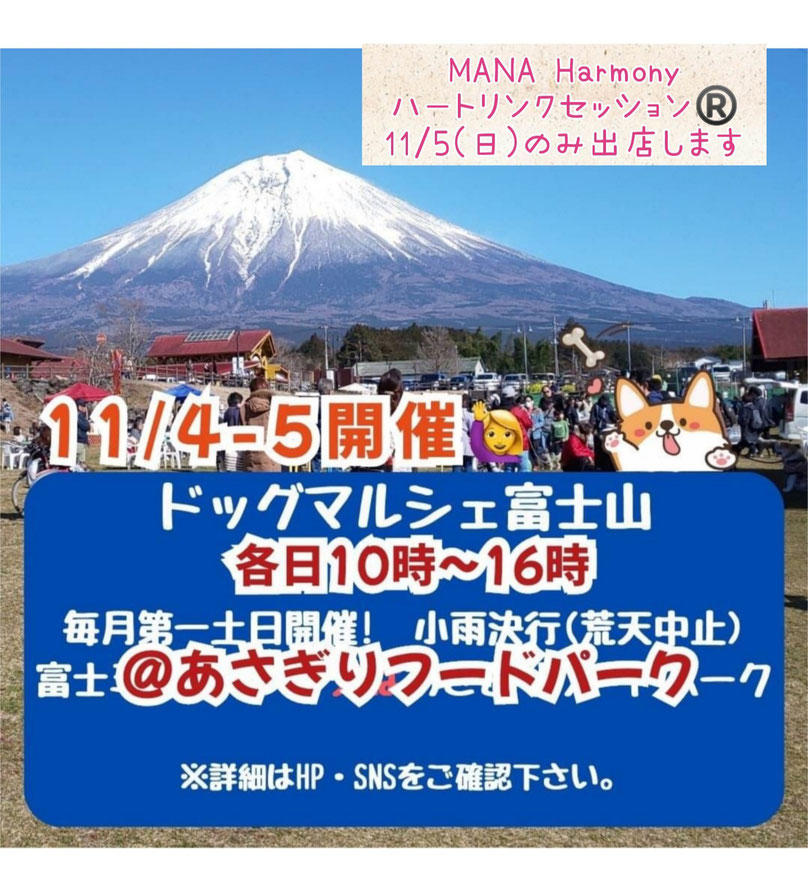 ドッグマルシェ富士山＠あさぎりフードパーク：ハートリンクセッション体験会開催