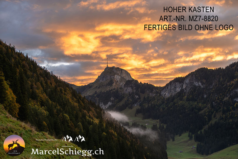 Hoher Kasten, Sonnenuntergang, Alpsteinpanorama