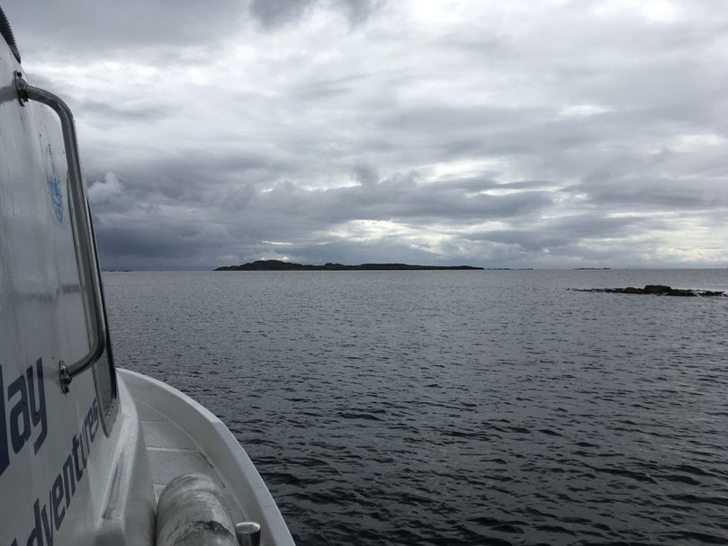 A boat trip with Islay Sea Adventures on a cloudier day