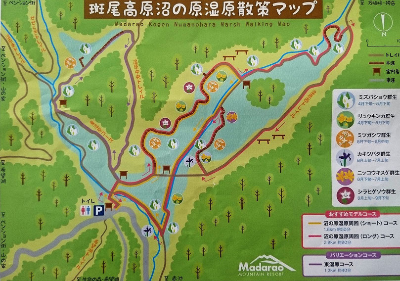 斑尾高原のマップ・地図_沼の原湿原：登山初心者＆子供連れ向けの山登り・トレッキング・ハイキングコース