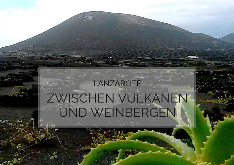 Ausflugstipp Lanzarote auf eigene Faust