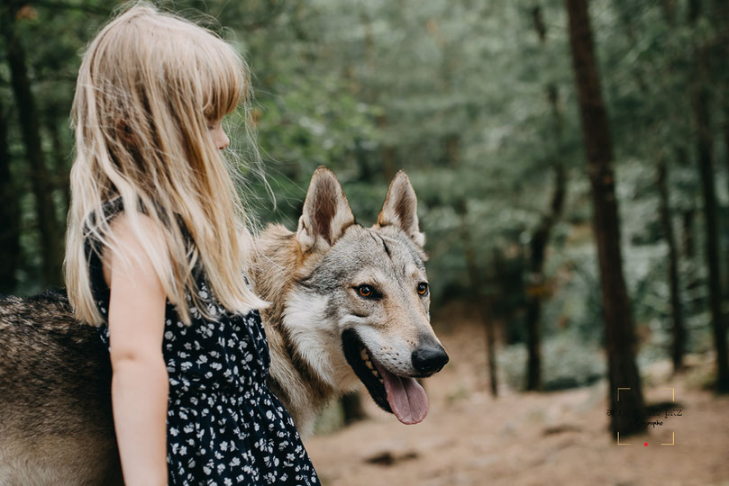 sarreguemines photographe animaux