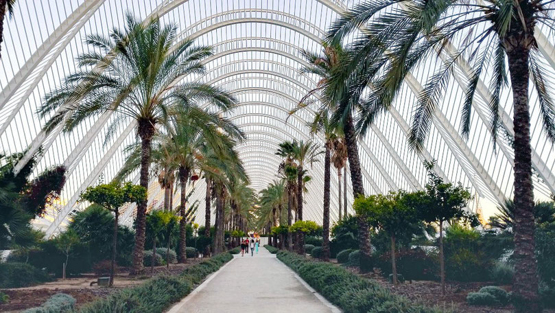 L´Umbracle, es la columna vertebral de Ciudad de las Artes y de las Ciencias. Un jardín al aire libre de 4.000m2 donde podemos ver diferentes exposiciones.