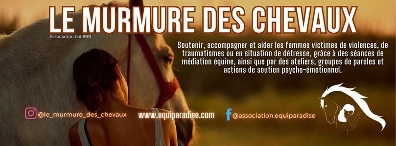 Site de equiparadise84 !