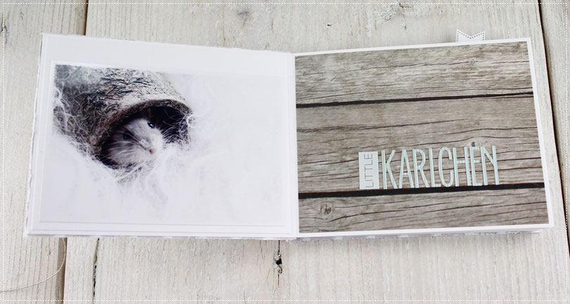 Scrapbook Minialbum Hamster