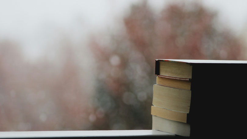 Bücherstapel vor Fenster. Bild von Brandi Redd auf Unsplash.
