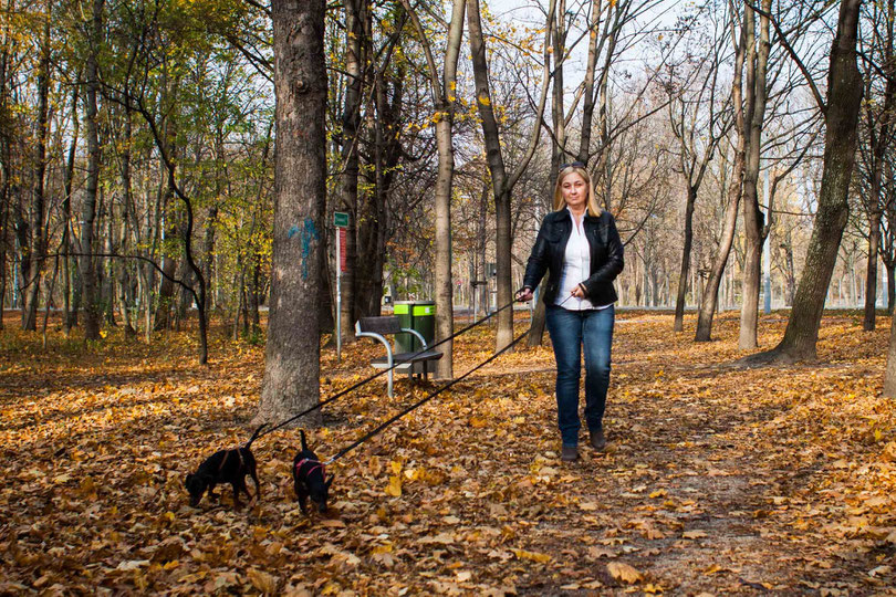 Ein Herbstspaziergang im Wiener Prater mit zwei Hunden