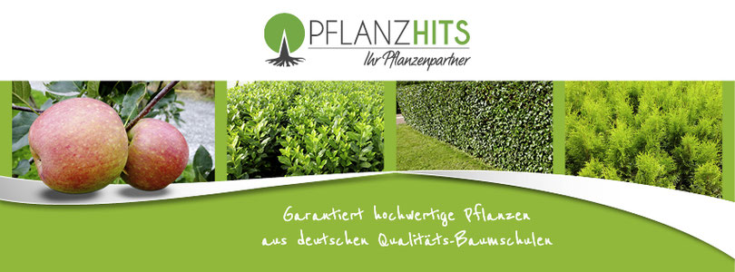 Pflanzhits mit Pflanztipps, Firmenlogo