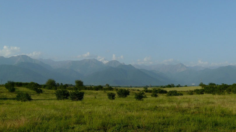 Mais la vegetation fini par reprendre le dessus. Au loin les cimes enneigees du Caucase culminent a plus de 4000m