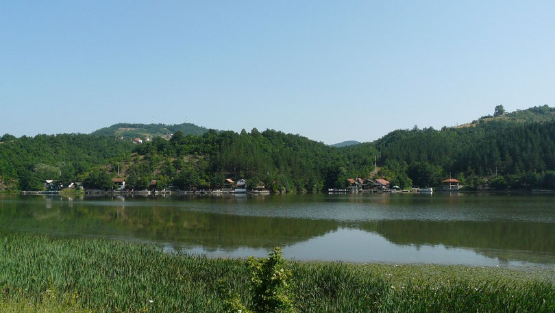 La campagne serbe, tres verdoyante malgre la chaleur