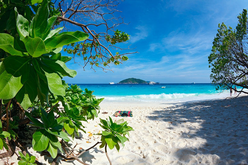 Similan Inseln - eine der schönsten und bekanntesten Insel Thailand