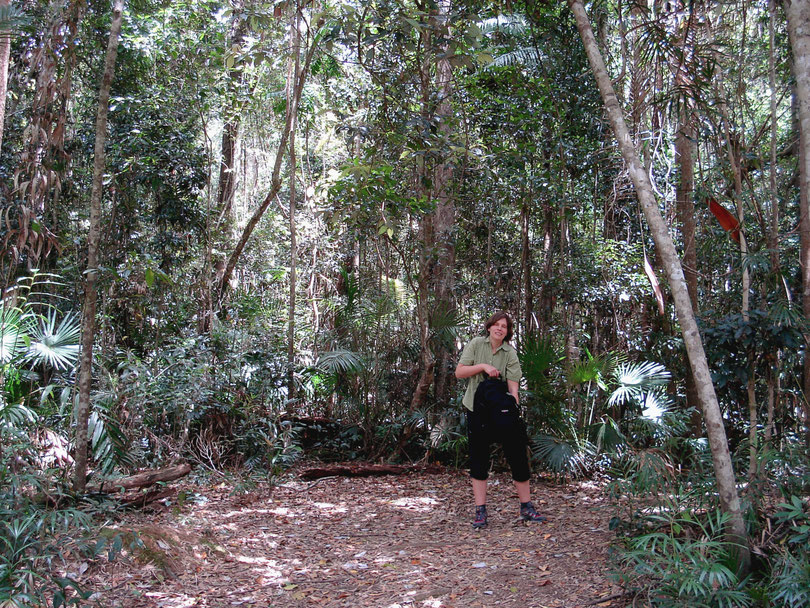 Ostküste, Queensland, Australien