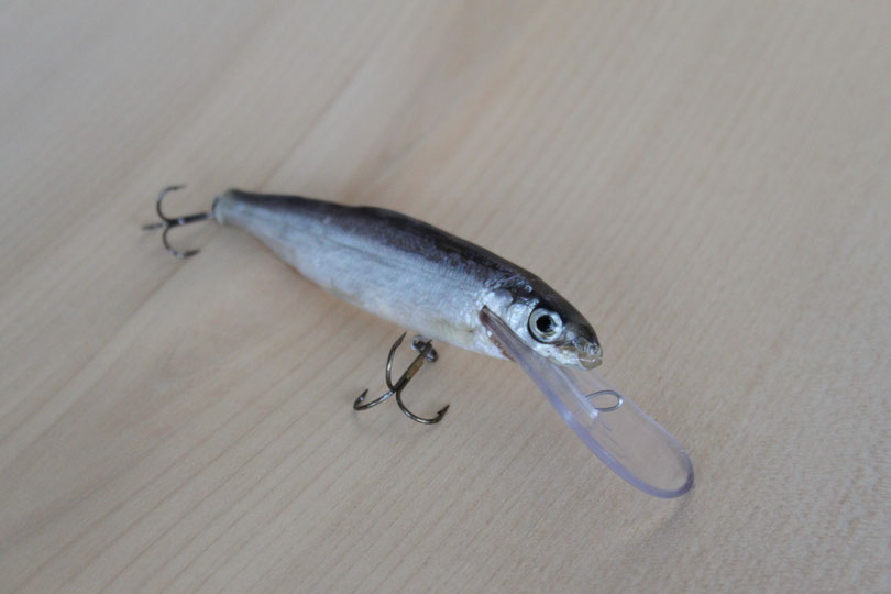 Der optimale Seeforellen Wobbler aus der Schweiz. Twinlures