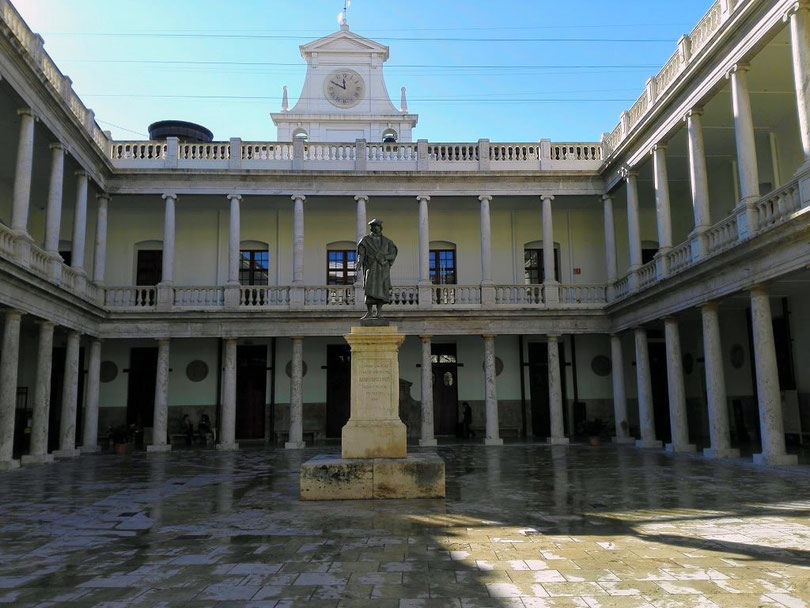 El Claustro Mayor de la Nau fue construido por el arquitecto Timoteo Calvo Ibarra, luego fue reformado a finales de siglo XIX por Sebastián Monleón. Y sobre los años 40 del siglo XX, el arquitecto Javier Goerlich. Y la estatua es del humanista Luis Vives.