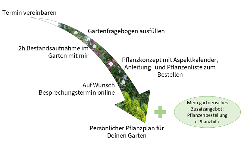 Skizze vom Termin bis zum Konzept mit Zusatzangebot Bestellung und Pflanzung