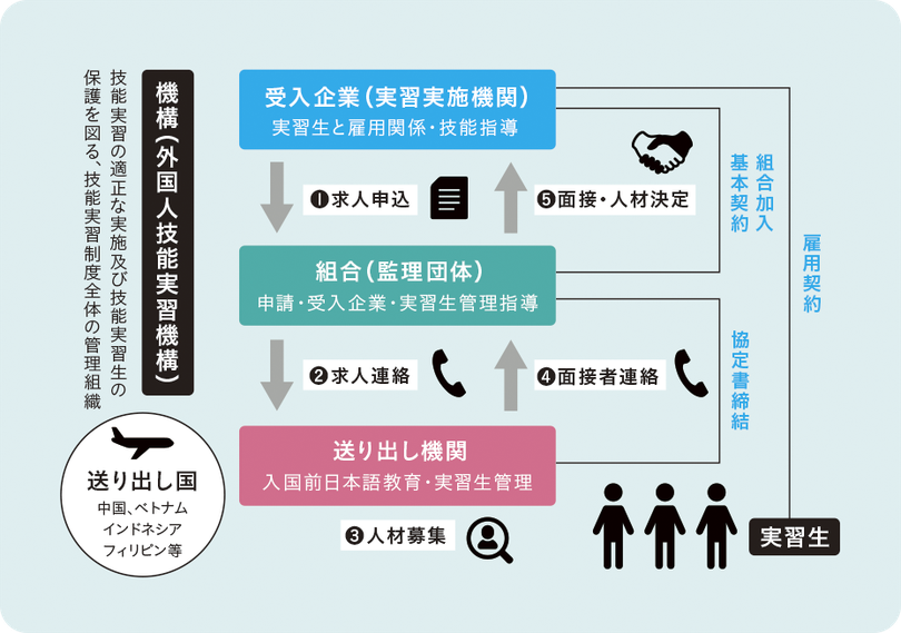 実習制度の仕組み図解