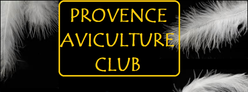 provence aviculture club