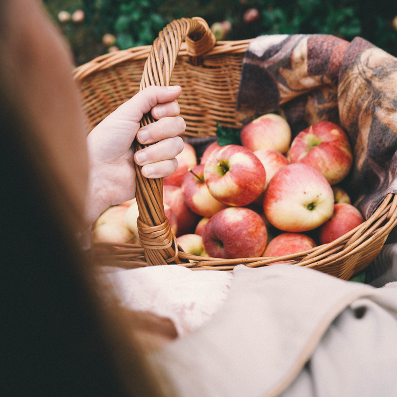 regional und saisonal einkaufen Obst selbst pflücken zweidiereisen