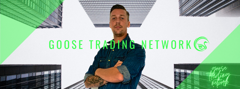 goose-tradingnetworks Webseite!