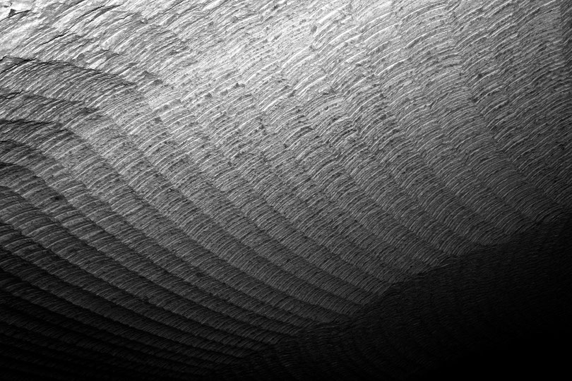 Asse: Frisch beraubte (= abgeschabte) Decke auf der 490m-Sohle